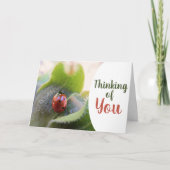 熱烈考えるなラディバグカード カード (正面)