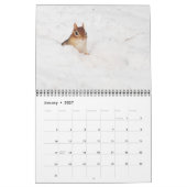 熱狂するでかわいいシマリス2014のカレンダー カレンダー (1月 2027)