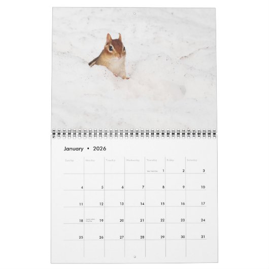 熱狂するでかわいいシマリス2015のカレンダー カレンダー (1月 2026)