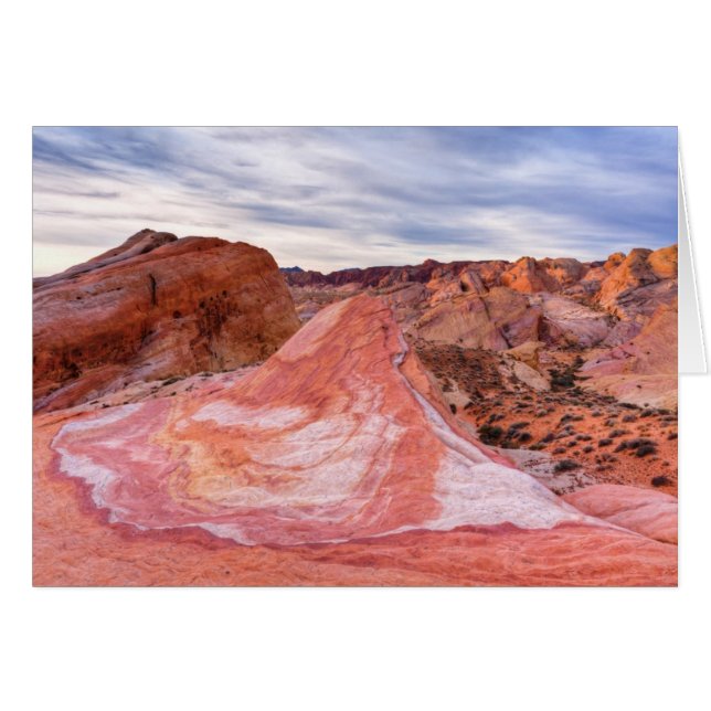 熱狂するな丘の日の出 (正面横)