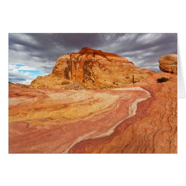 熱狂するな丘の暴風雨 (正面横)