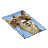 熱狂するな毛のアルパカ ノートブック (右側)