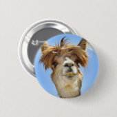 熱狂するな毛のアルパカ 缶バッジ (正面&裏面)
