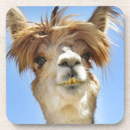 熱狂するな毛を搭載するアルパカ コースター
