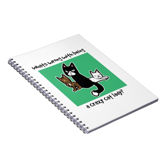 熱狂するな猫の女性であることと間違っている何が ノートブック (右側)