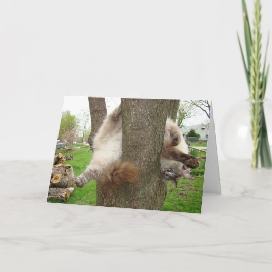 熱狂するなCATのバレンタインカード シーズンカード (正面)