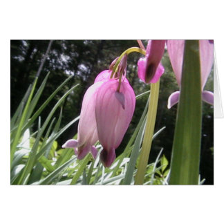 熱狂するハート