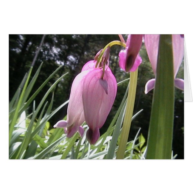 熱狂するハート (正面横)