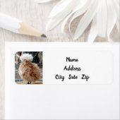 **熱狂する毛鶏**差出人住所ラベル ラベル (インサイチュ)