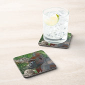 熱狂する絵を描- Gorilla コースター (右側)