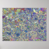 熱狂する草 ポスター (正面)