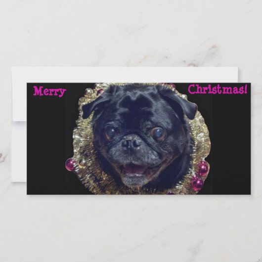 熱狂するChristmas Pugフォトカード シーズンカード (正面)