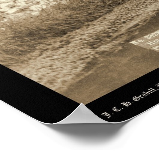 熱狂的な春に近い列車外の人々SD 1891 ポスター (角)