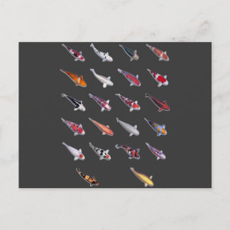 熱狂的コイ ポストカード