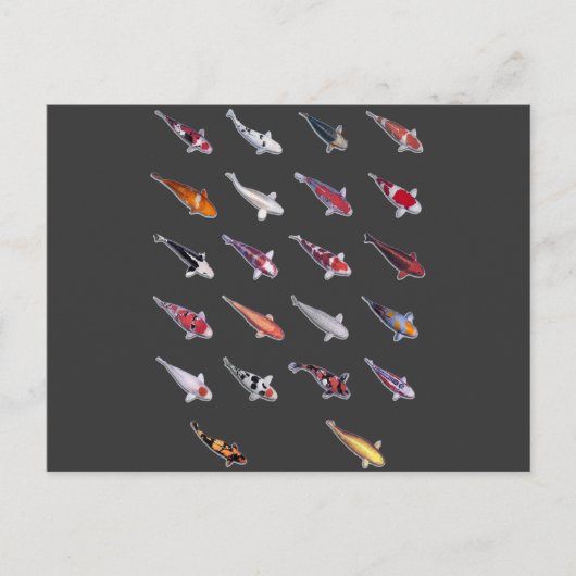 熱狂的コイ ポストカード (正面)