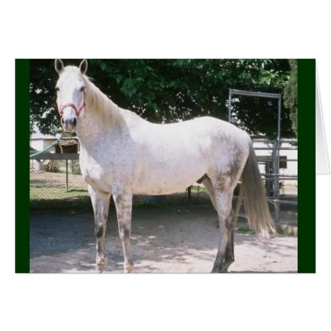 熱狂的 (正面横)