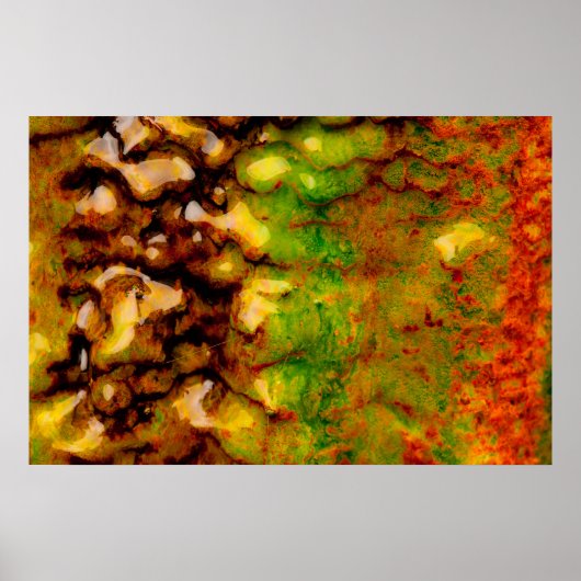 熱生態系 ポスター (正面)