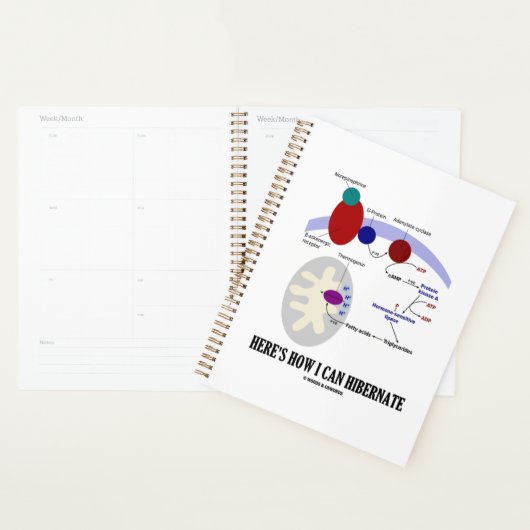 熱産生を休止する方法は次の通り プランナー手帳 (ディスプレー)