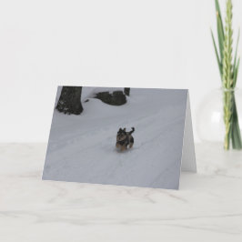 熱血で断固としたな子犬カード シーズンカード