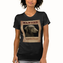 熱血なドーベルマン犬