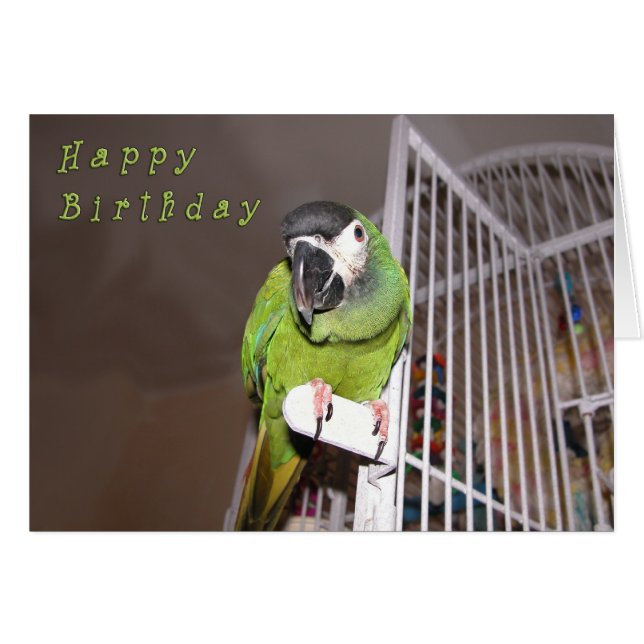 熱血な悪魔 (正面横)