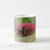燃えさかるブッシュのアイリッシュセッター コーヒーマグカップ (中央)