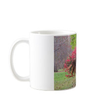 燃えさかるブッシュのアイリッシュセッター