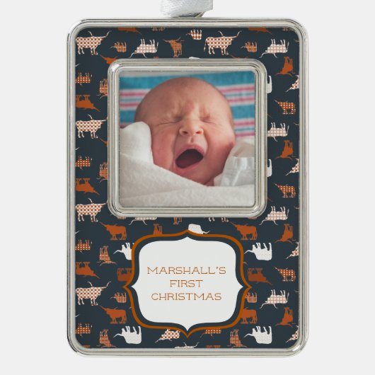 燃えたオレンジパターン(の模様が)ある色のロングホーン模様の写真 シルバープレートフレームオーナメント (正面)