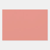 燃えたサンゴシンプルミニマル ラッピングペーパーシート (正面3)