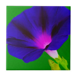 燃えるようなパープルピンクの花柄 タイル