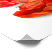 燃えるオレンジのオウムのチューリップデジタルアート ポスター (角)