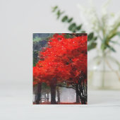 燃える秋 ポストカード (スタンド正面)