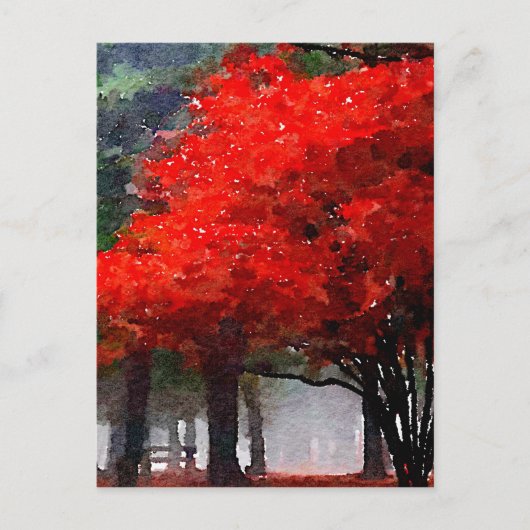 燃える秋 ポストカード (正面)