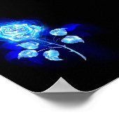 燃える青い薔薇 ポスター (角)