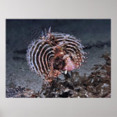 燃え尽きた ポスター (正面)