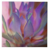 燃え盛るプロテア タイル (正面)