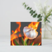 燃え風変わりるニンニクのはがき ポストカード (スタンド正面)