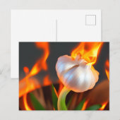 燃え風変わりるニンニクのはがき ポストカード (正面/裏面)