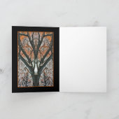 燃やされたアンバーの木の反射カード カード (内部)