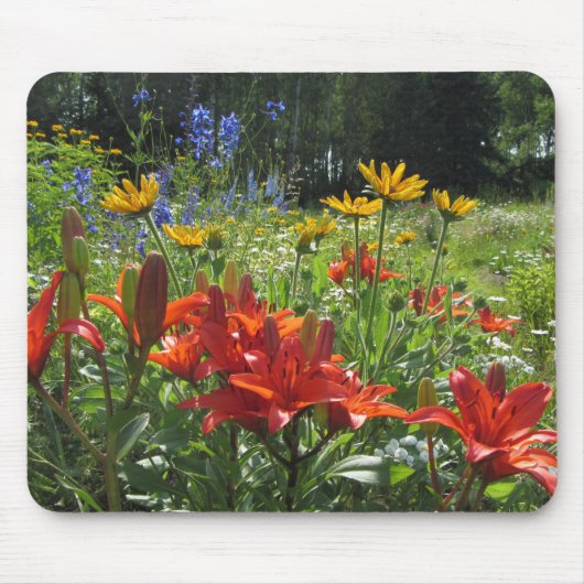燃やされたオレンジアジアユリ、Gloriosasのデイジー、 マウスパッド (正面)
