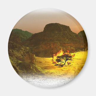 燃焼ブッシュ1 マグネット