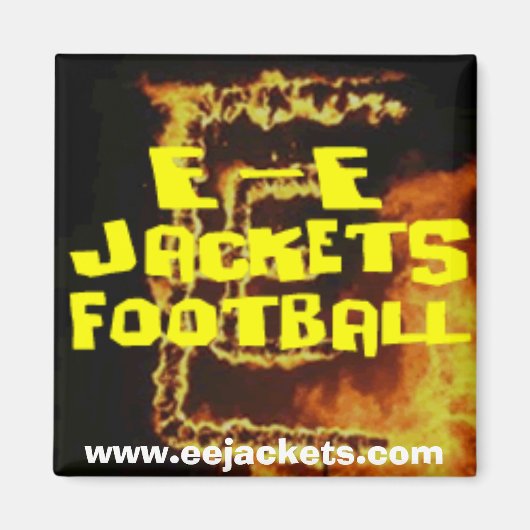 燃焼用E-E磁石 マグネット (正面)