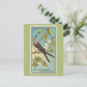 燕尾型フライキャッチャー ポストカード (スタンド正面)