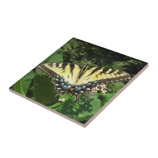 燕尾蝶 タイル (側面)