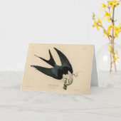 燕尾鷹 – オードボンのアメリカの鳥 カード (黄色い花)
