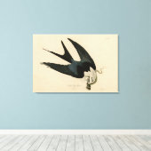 燕尾鷹 – オードボンのアメリカの鳥 キャンバスプリント (インサイチュ (ウッドフロア))