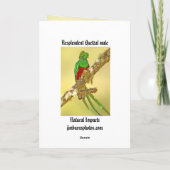 燦びやかなQuetzalの男性 カード (裏面)