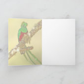 燦びやかなQuetzalの男性 カード (内部)