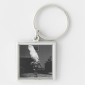 燭台B&Wに坐っているオウム キーホルダー (正面)