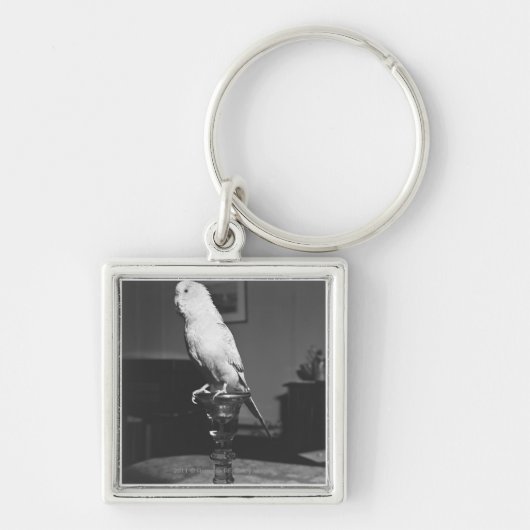 燭台B&Wに坐っているオウム キーホルダー (正面)